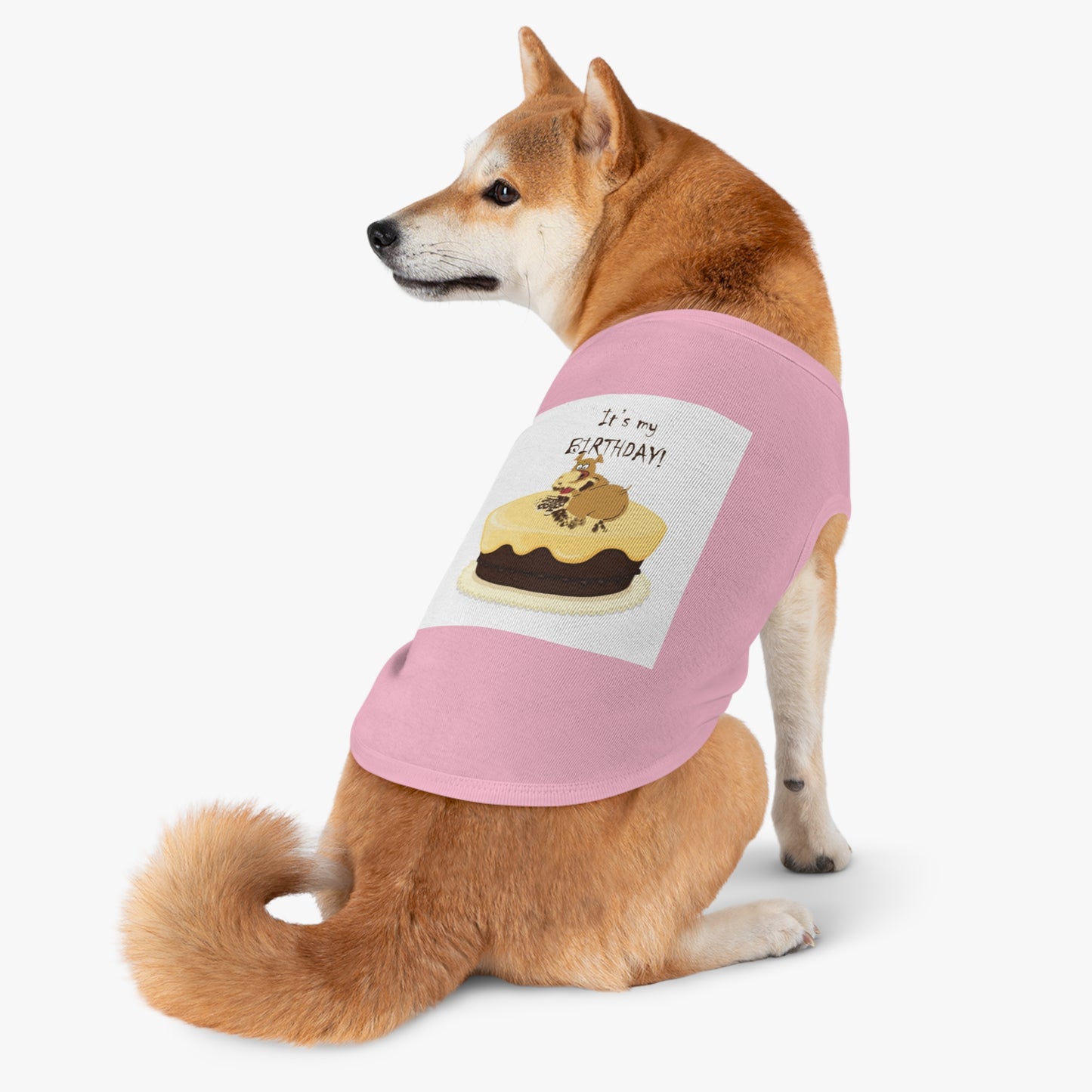 Birthday Pet Tank Top, Dog Birthday Apparel, Cute Dog Clothes, Pet Party Outfit, Unique Gift for Dog Lovers