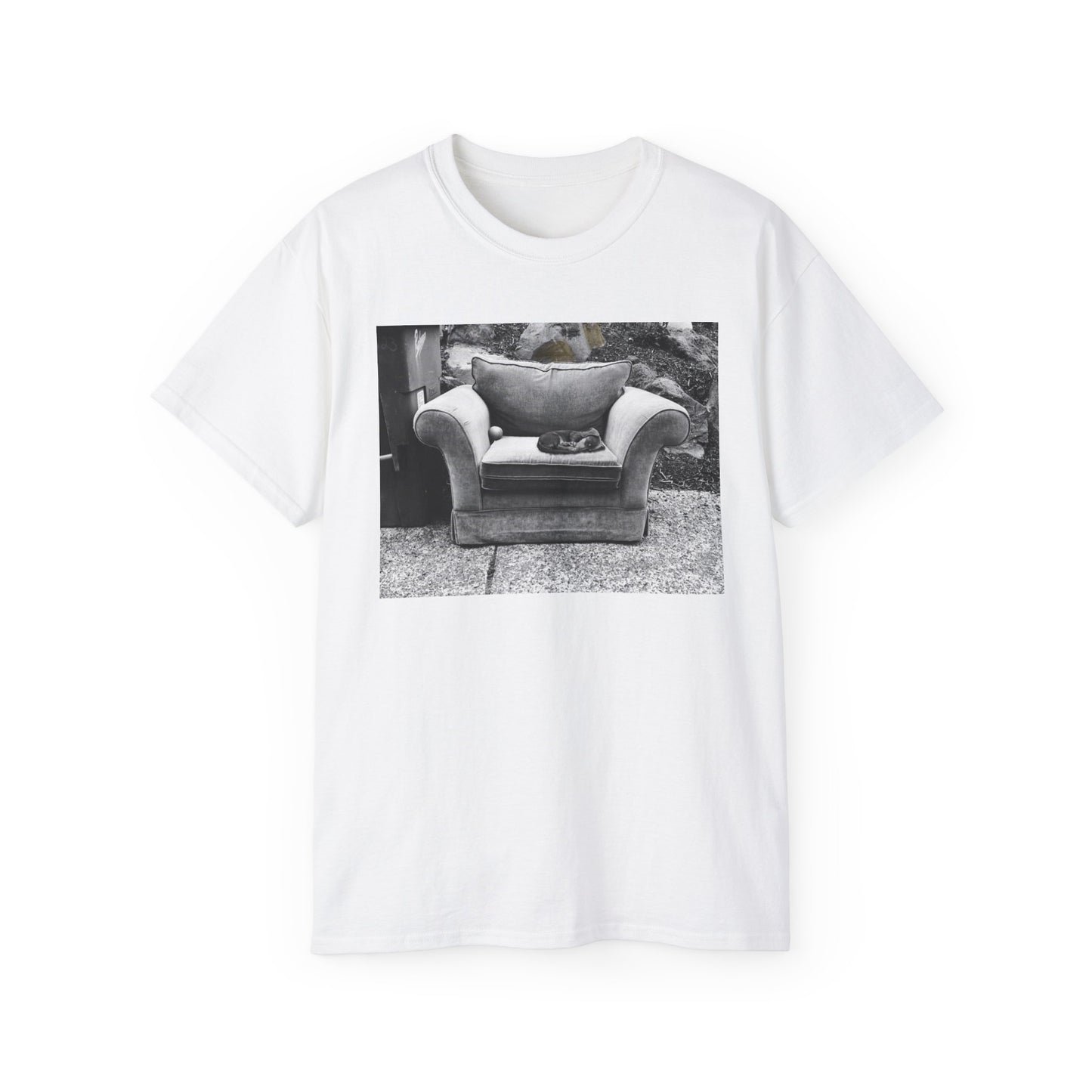 Comfortable Photo Graphic Tee, Casual T-Shirt, Unisex Cotton Tee, Everyday Wear, Gift for Friends, Cozy Style