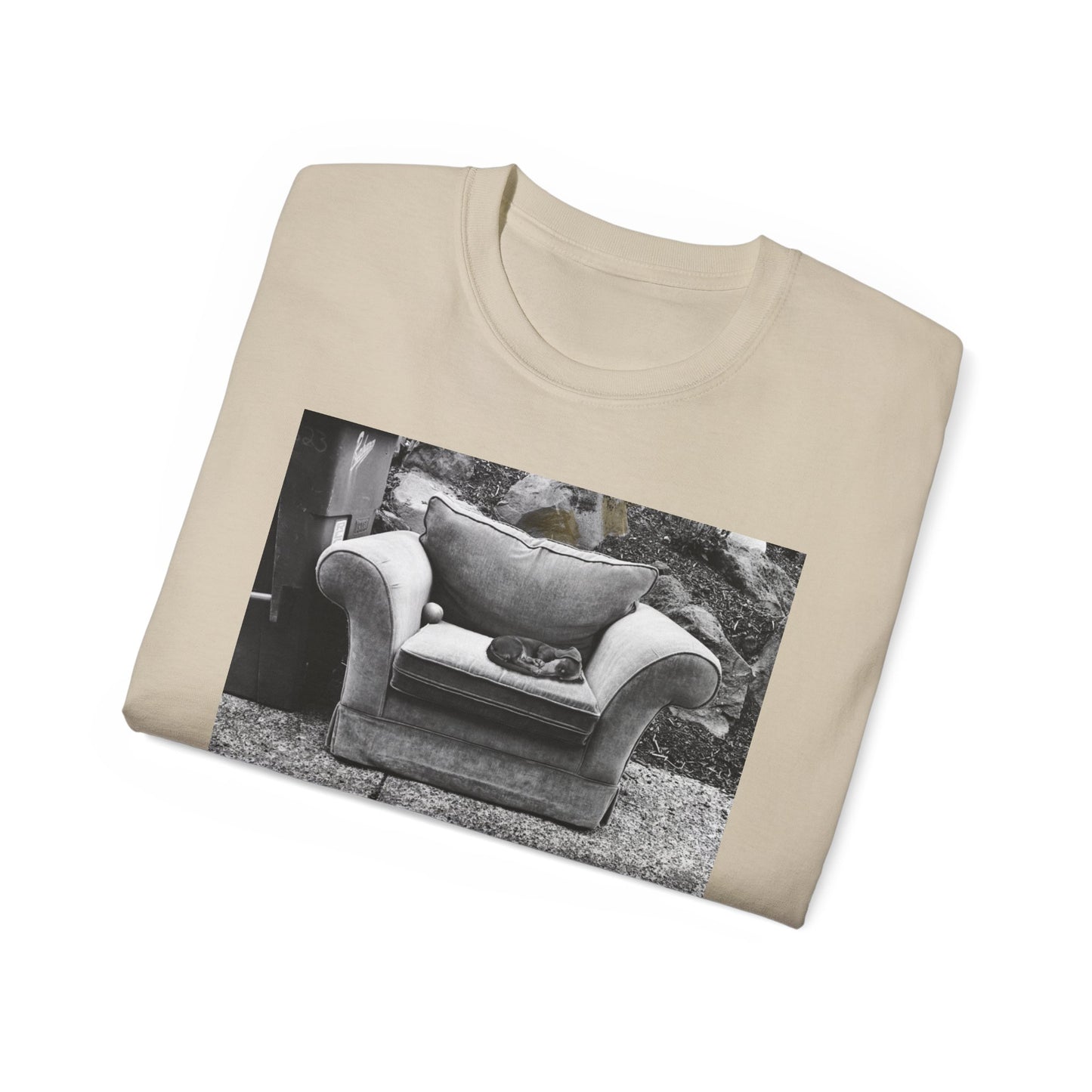 Comfortable Photo Graphic Tee, Casual T-Shirt, Unisex Cotton Tee, Everyday Wear, Gift for Friends, Cozy Style