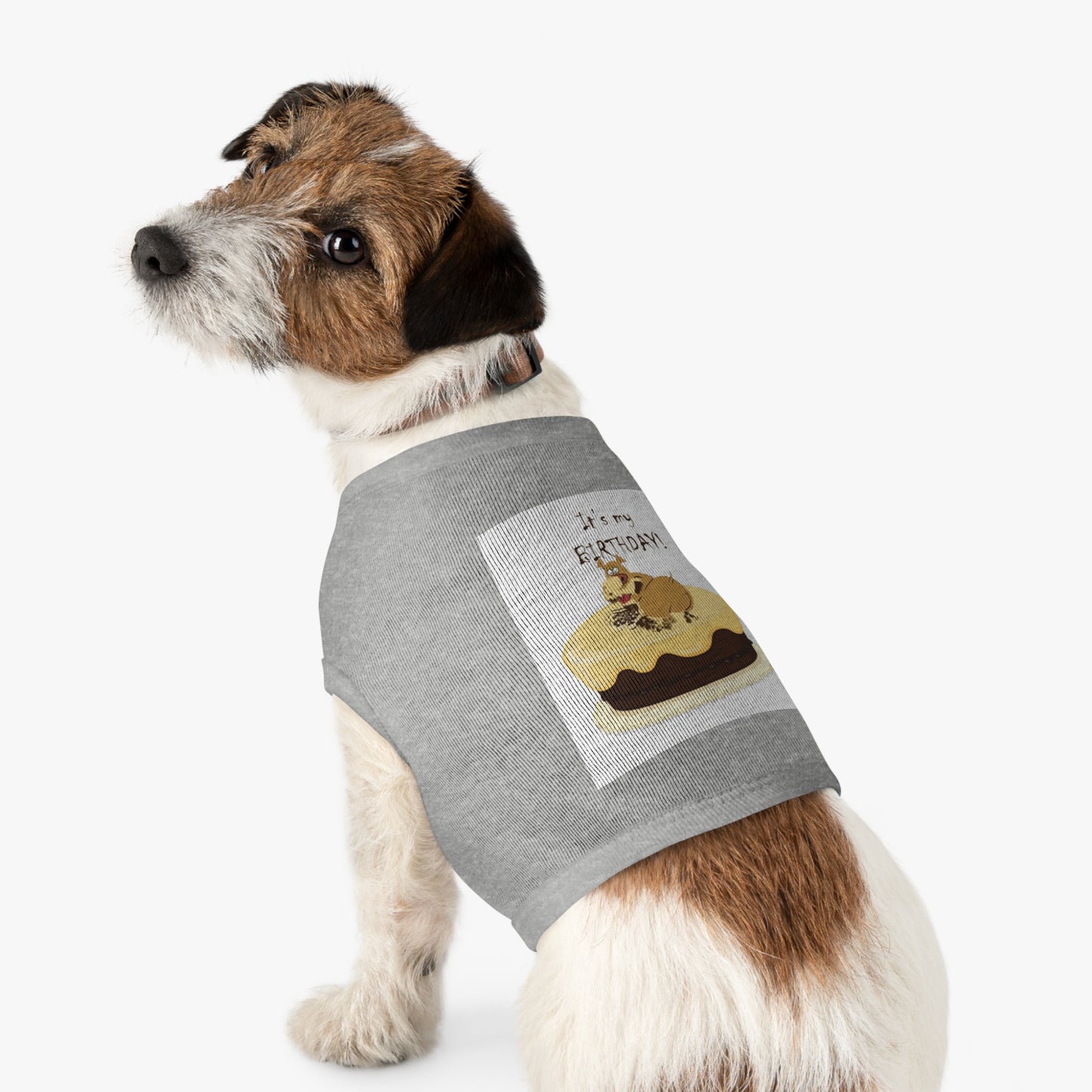 Birthday Pet Tank Top, Dog Birthday Apparel, Cute Dog Clothes, Pet Party Outfit, Unique Gift for Dog Lovers