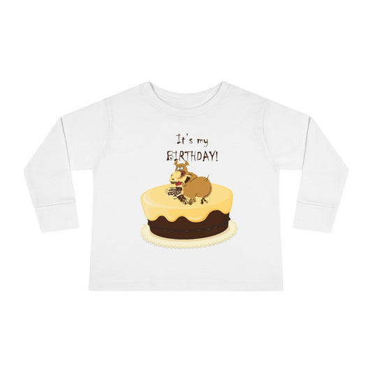 It’s my birthday toddler Sleeve Tee