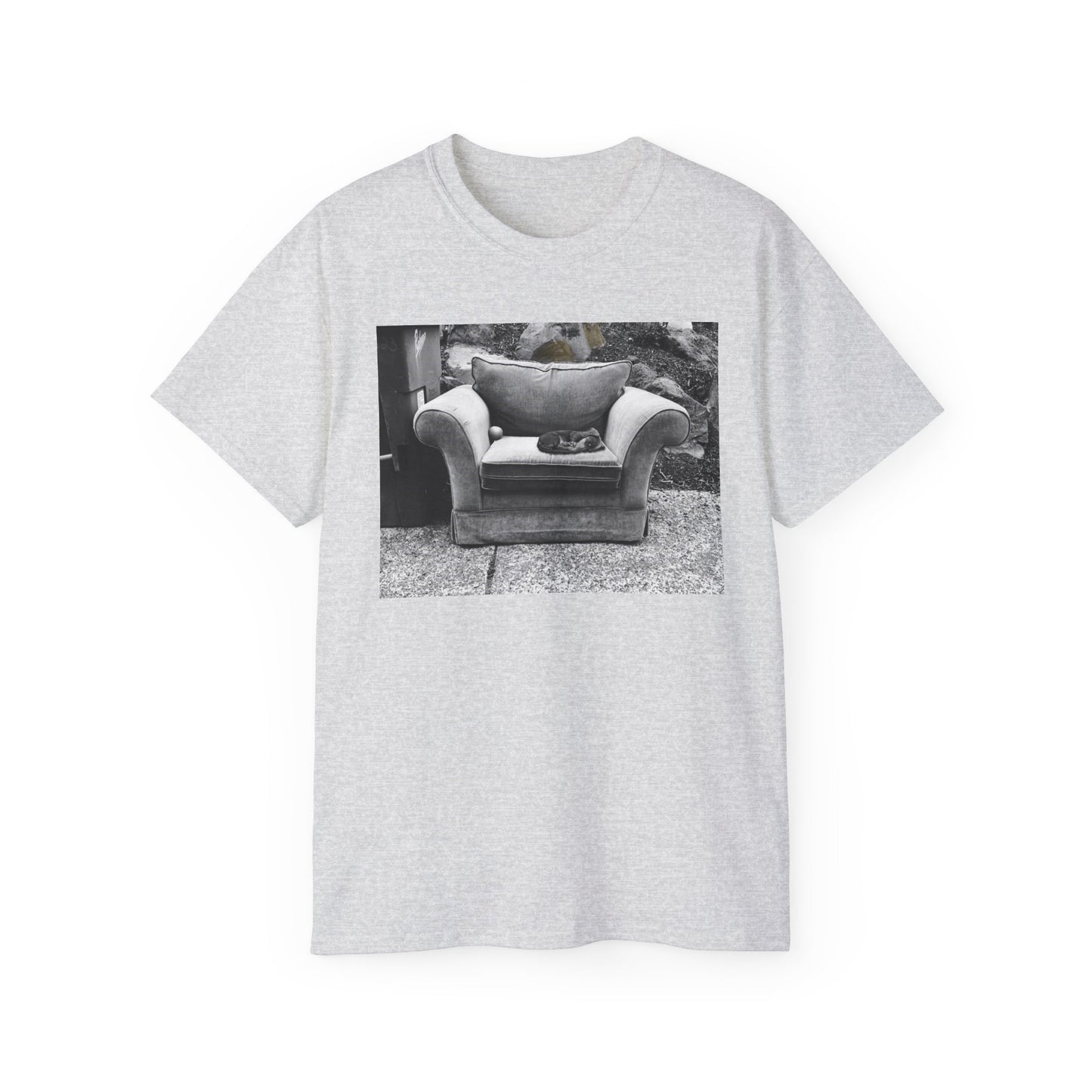 Comfortable Photo Graphic Tee, Casual T-Shirt, Unisex Cotton Tee, Everyday Wear, Gift for Friends, Cozy Style