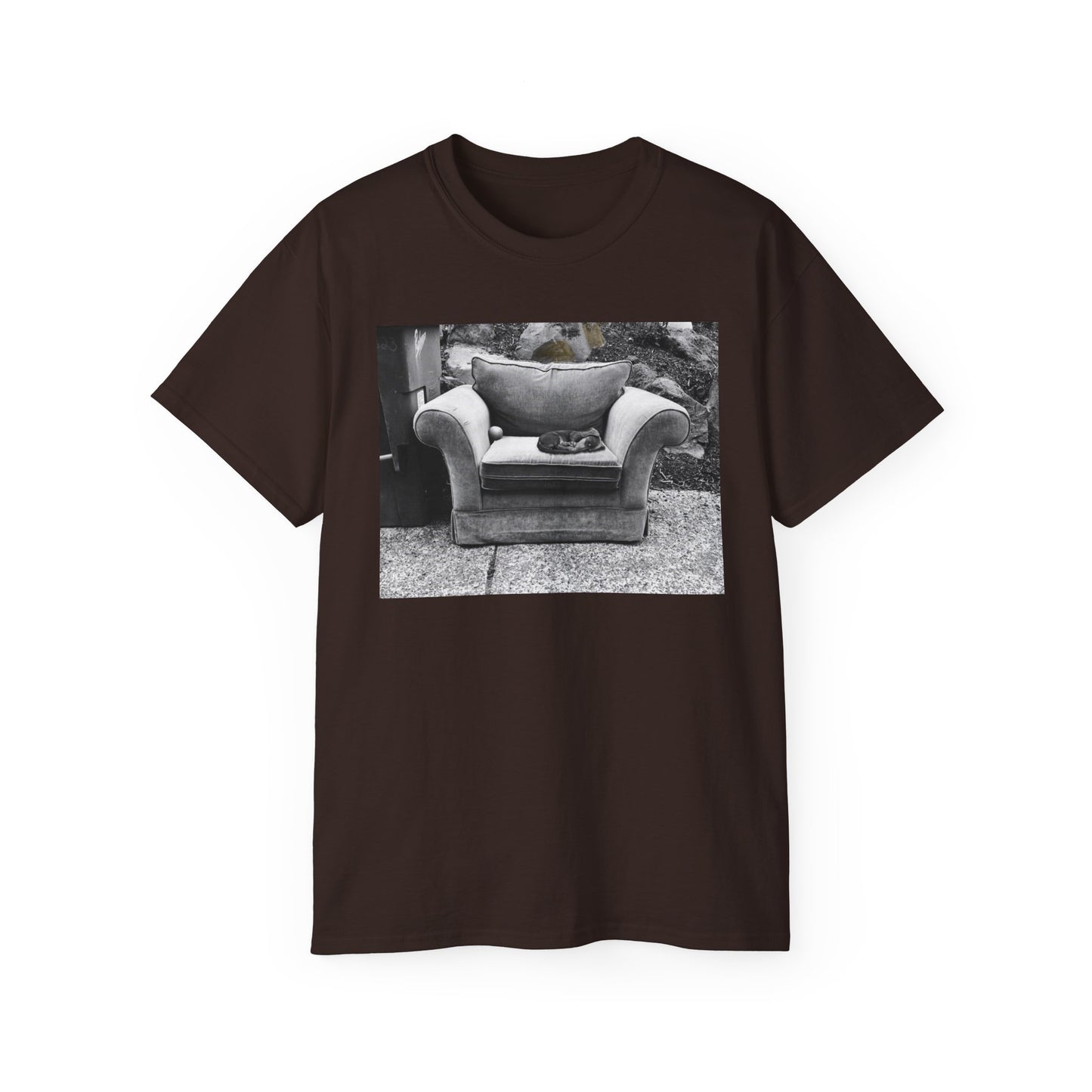 Comfortable Photo Graphic Tee, Casual T-Shirt, Unisex Cotton Tee, Everyday Wear, Gift for Friends, Cozy Style