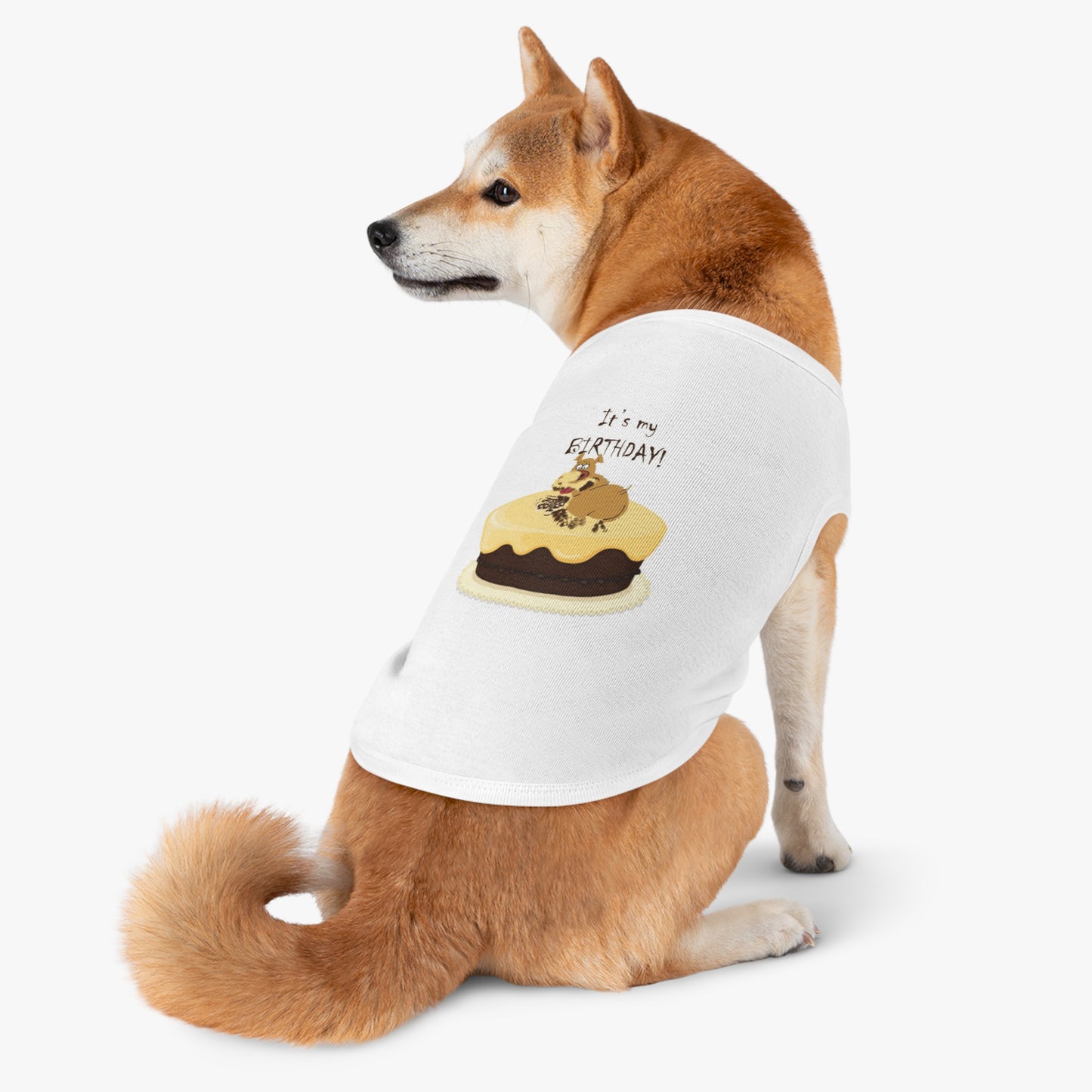 Birthday Pet Tank Top, Dog Birthday Apparel, Cute Dog Clothes, Pet Party Outfit, Unique Gift for Dog Lovers