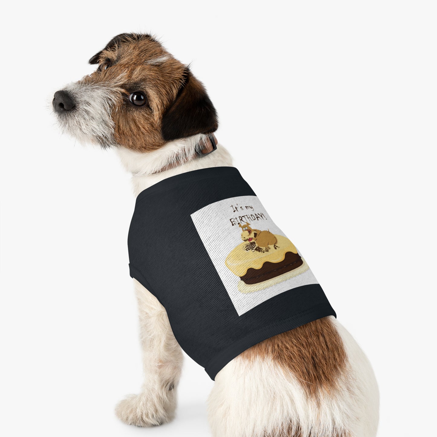 Birthday Pet Tank Top, Dog Birthday Apparel, Cute Dog Clothes, Pet Party Outfit, Unique Gift for Dog Lovers