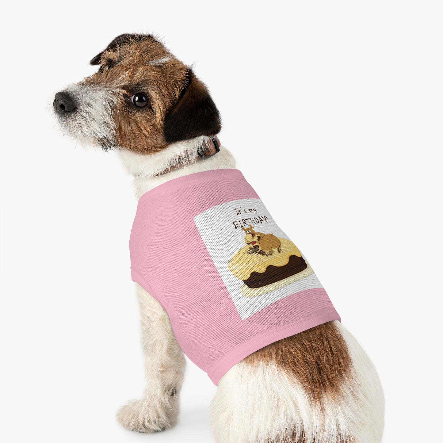 Birthday Pet Tank Top, Dog Birthday Apparel, Cute Dog Clothes, Pet Party Outfit, Unique Gift for Dog Lovers