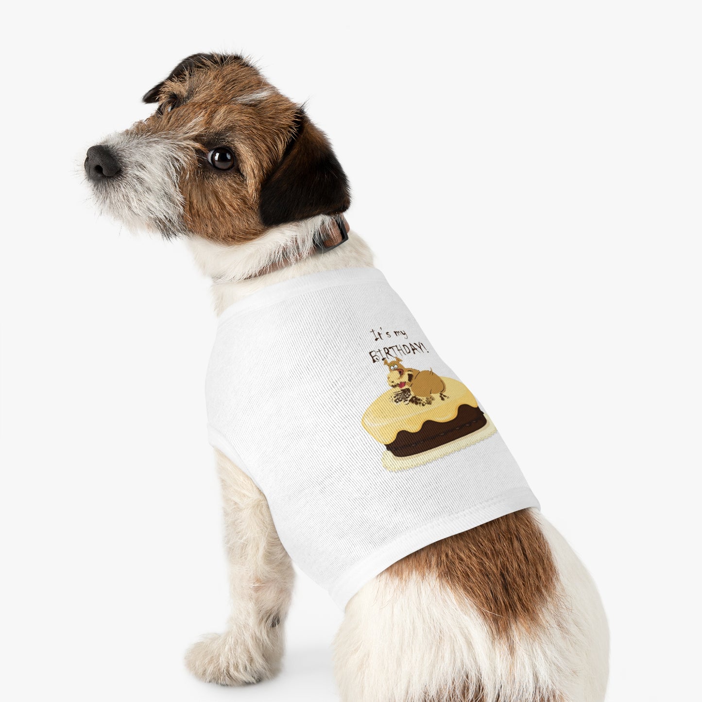 Birthday Pet Tank Top, Dog Birthday Apparel, Cute Dog Clothes, Pet Party Outfit, Unique Gift for Dog Lovers
