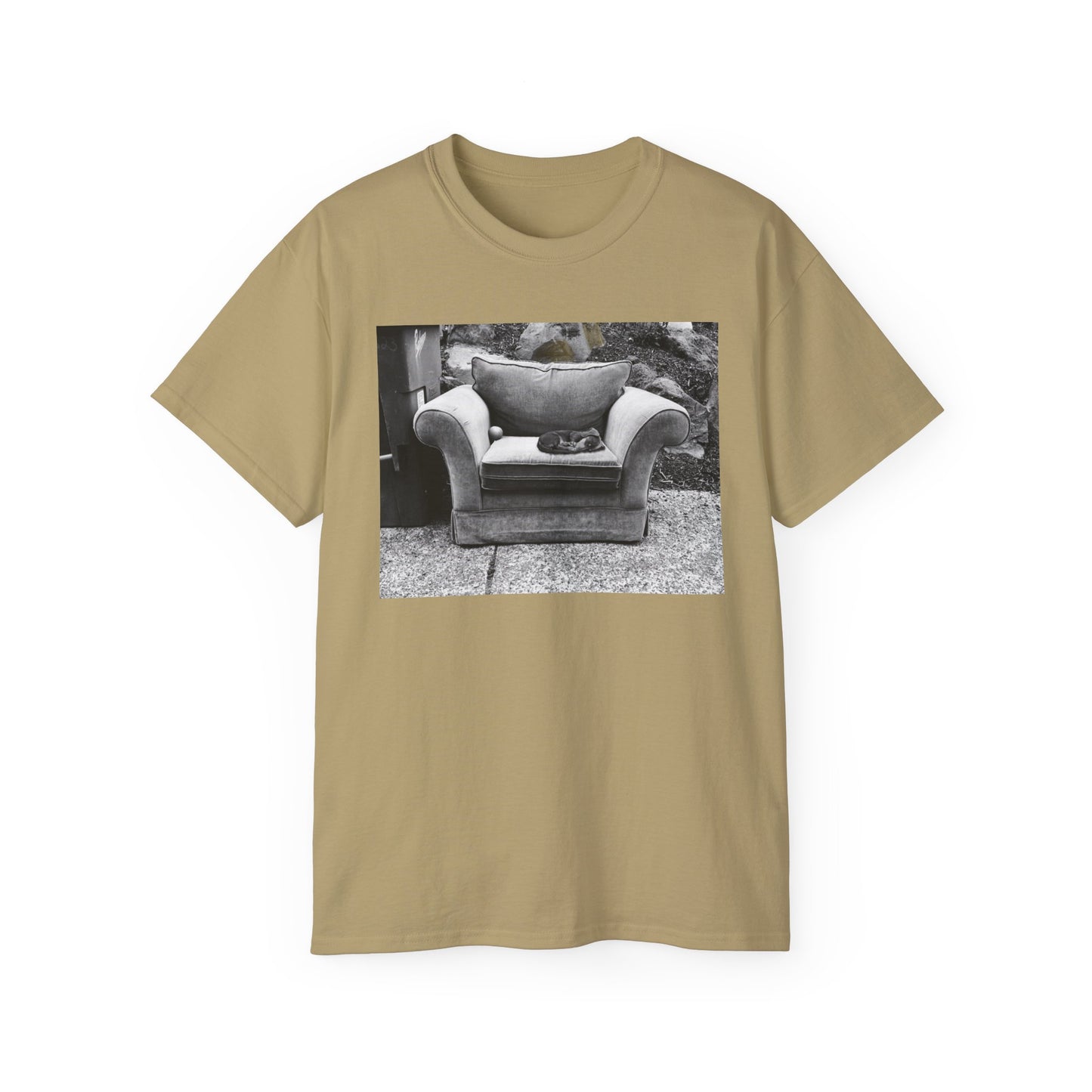 Comfortable Photo Graphic Tee, Casual T-Shirt, Unisex Cotton Tee, Everyday Wear, Gift for Friends, Cozy Style